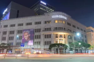 Shinsegae Seoul International Visitors Centre